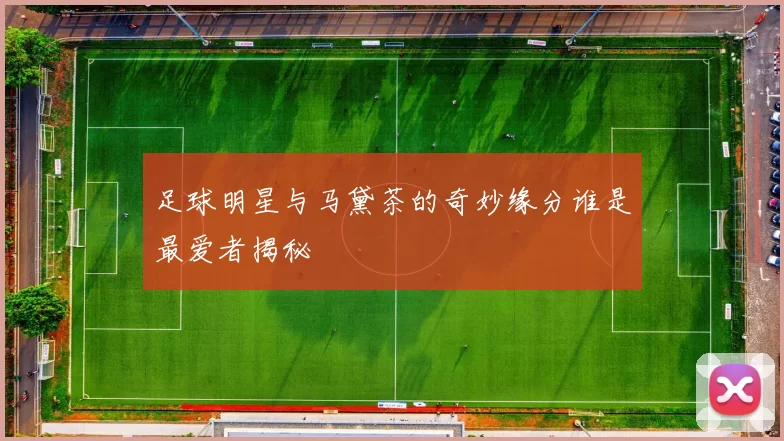 足球明星与马黛茶的奇妙缘分谁是最爱者揭秘