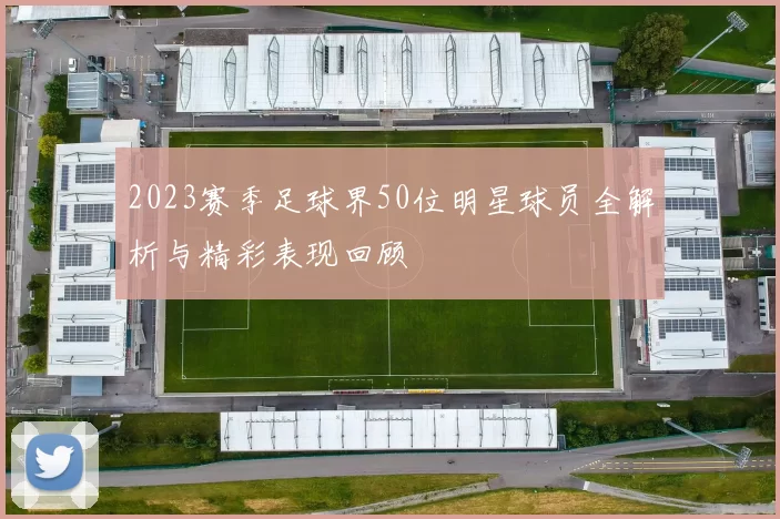 2023赛季足球界50位明星球员全解析与精彩表现回顾