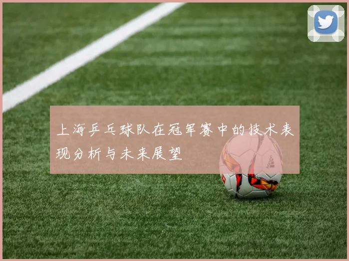 上海乒乓球队在冠军赛中的技术表现分析与未来展望
