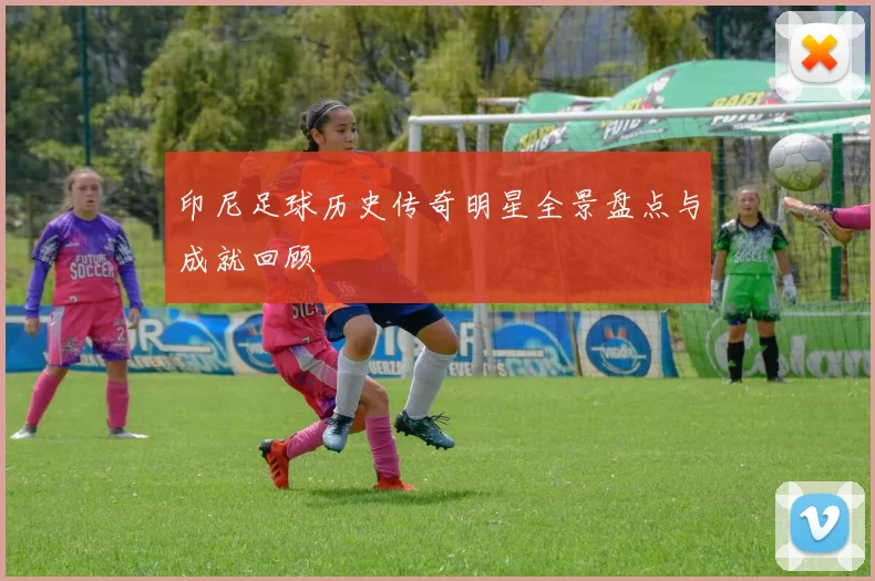 印尼足球历史传奇明星全景盘点与成就回顾