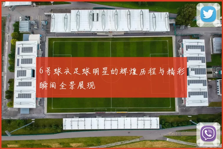 6号球衣足球明星的辉煌历程与精彩瞬间全景展现