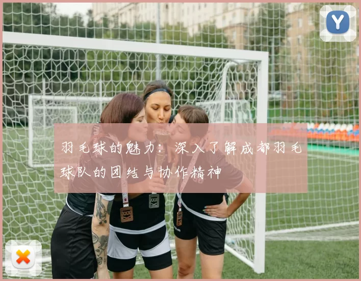 羽毛球的魅力：深入了解成都羽毛球队的团结与协作精神