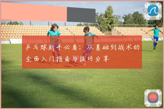 乒乓球新手必看：从基础到战术的全面入门指南与技巧分享