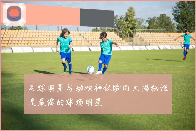 足球明星与动物神似瞬间大揭秘谁是最像的球场明星