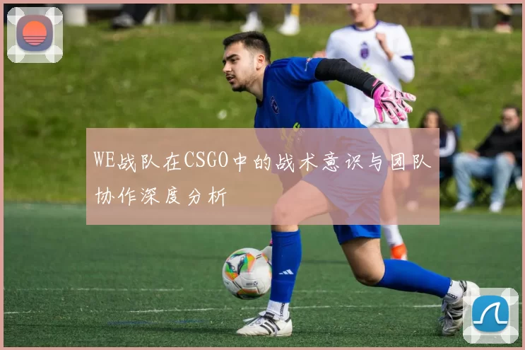 WE战队在CSGO中的战术意识与团队协作深度分析