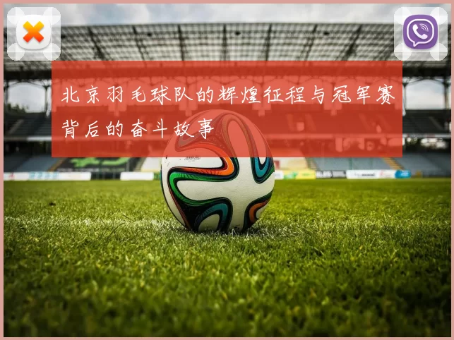 北京羽毛球队的辉煌征程与冠军赛背后的奋斗故事