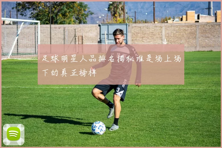 足球明星人品排名揭秘谁是场上场下的真正榜样