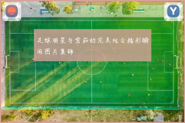 足球明星与雪茄的完美结合精彩瞬间图片集锦