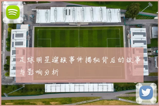 足球明星遛猴事件揭秘背后的故事与影响分析