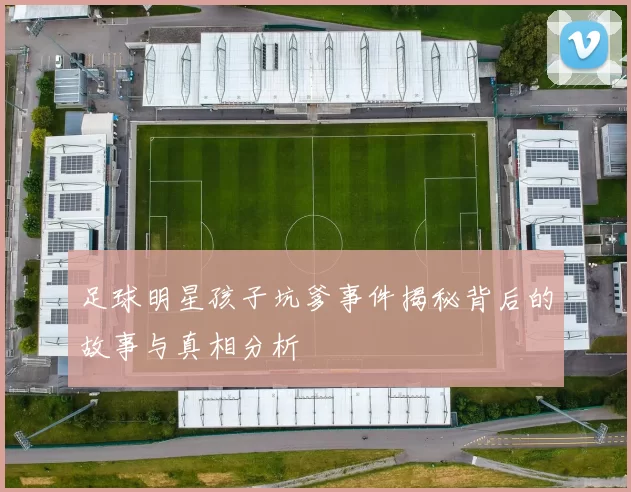足球明星孩子坑爹事件揭秘背后的故事与真相分析