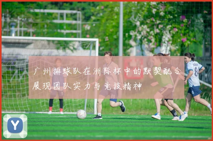 广州排球队在洲际杯中的默契配合展现团队实力与竞技精神